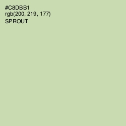 #C8DBB1 - Sprout Color Image