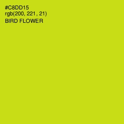 #C8DD15 - Bird Flower Color Image