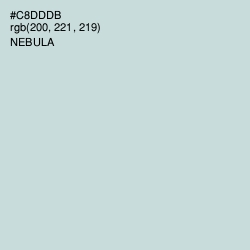 #C8DDDB - Nebula Color Image
