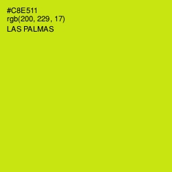 #C8E511 - Las Palmas Color Image