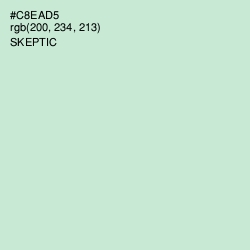 #C8EAD5 - Skeptic Color Image