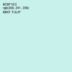 #C8F1EC - Mint Tulip Color Image