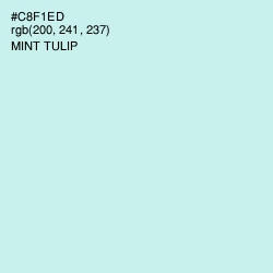#C8F1ED - Mint Tulip Color Image