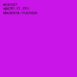 #C915E7 - Magenta / Fuchsia Color Image