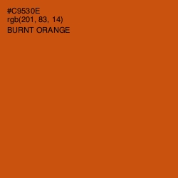 #C9530E - Burnt Orange Color Image