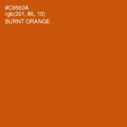 #C9560A - Burnt Orange Color Image