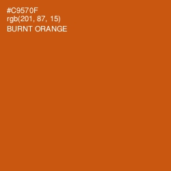 #C9570F - Burnt Orange Color Image