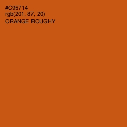 #C95714 - Orange Roughy Color Image