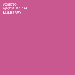 #C95790 - Mulberry Color Image