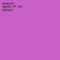 #C961C5 - Orchid Color Image