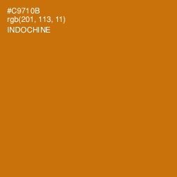 #C9710B - Indochine Color Image