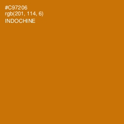 #C97206 - Indochine Color Image