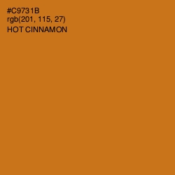 #C9731B - Hot Cinnamon Color Image