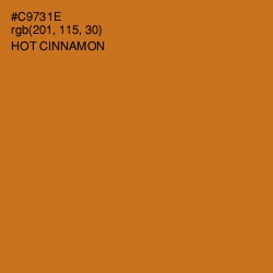 #C9731E - Hot Cinnamon Color Image