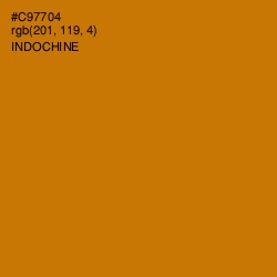 #C97704 - Indochine Color Image