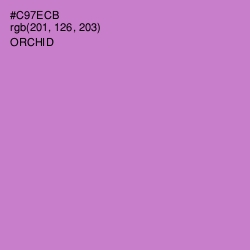 #C97ECB - Orchid Color Image