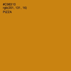 #C98310 - Pizza Color Image