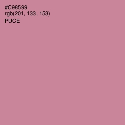 #C98599 - Puce Color Image