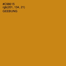 #C98615 - Geebung Color Image