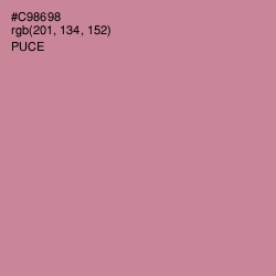 #C98698 - Puce Color Image