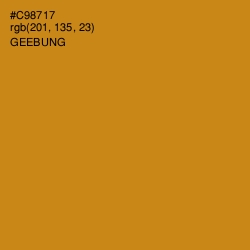 #C98717 - Geebung Color Image