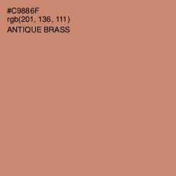 #C9886F - Antique Brass Color Image