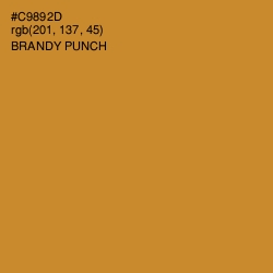 #C9892D - Brandy Punch Color Image