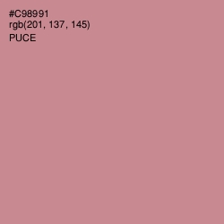 #C98991 - Puce Color Image