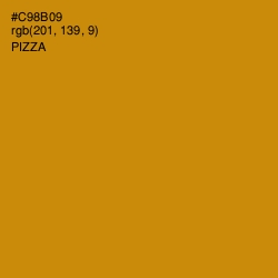 #C98B09 - Pizza Color Image