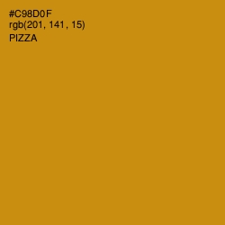#C98D0F - Pizza Color Image