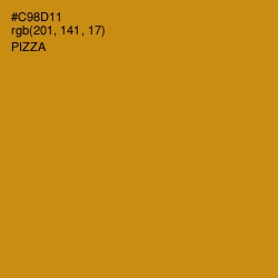 #C98D11 - Pizza Color Image