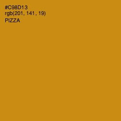 #C98D13 - Pizza Color Image