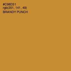#C98D31 - Brandy Punch Color Image