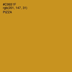 #C9931F - Pizza Color Image
