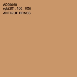 #C99669 - Antique Brass Color Image