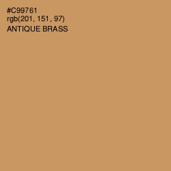 #C99761 - Antique Brass Color Image