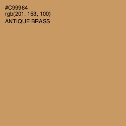 #C99964 - Antique Brass Color Image