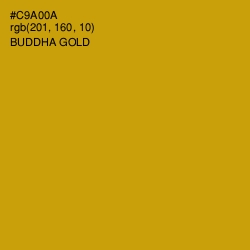 #C9A00A - Buddha Gold Color Image