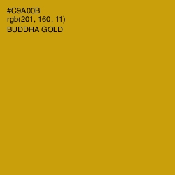 #C9A00B - Buddha Gold Color Image