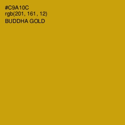 #C9A10C - Buddha Gold Color Image