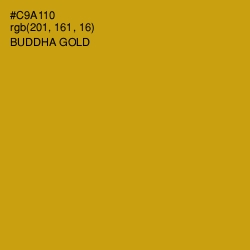 #C9A110 - Buddha Gold Color Image