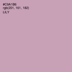 #C9A1B6 - Lily Color Image