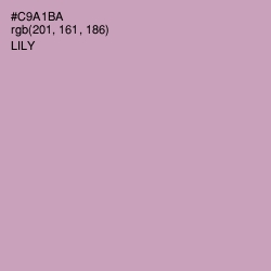 #C9A1BA - Lily Color Image