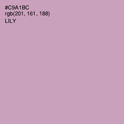 #C9A1BC - Lily Color Image