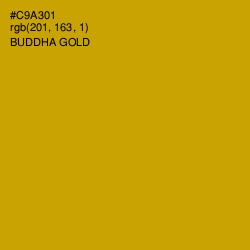 #C9A301 - Buddha Gold Color Image