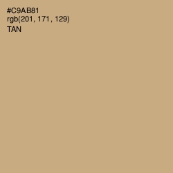 #C9AB81 - Tan Color Image