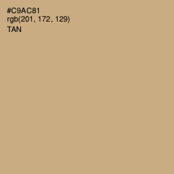 #C9AC81 - Tan Color Image