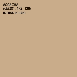 #C9AC8A - Indian Khaki Color Image