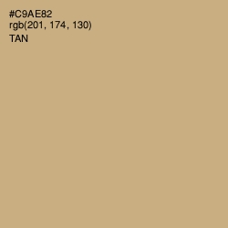 #C9AE82 - Tan Color Image