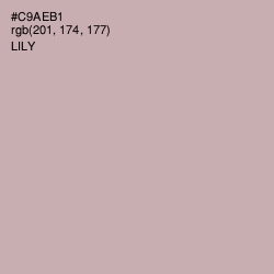 #C9AEB1 - Lily Color Image